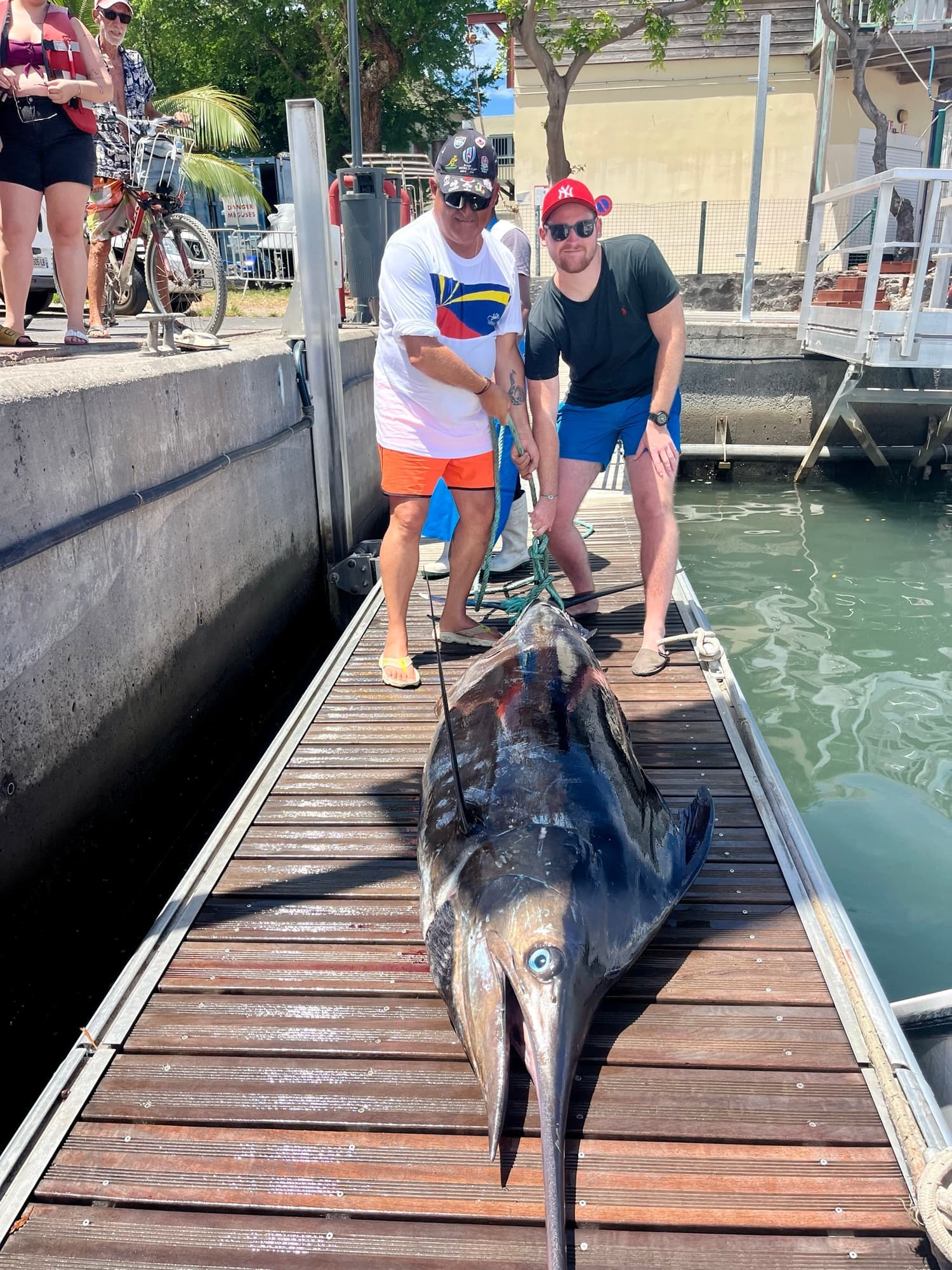 Marlin sur le quai du port de Saint-Gilles-les-Bains