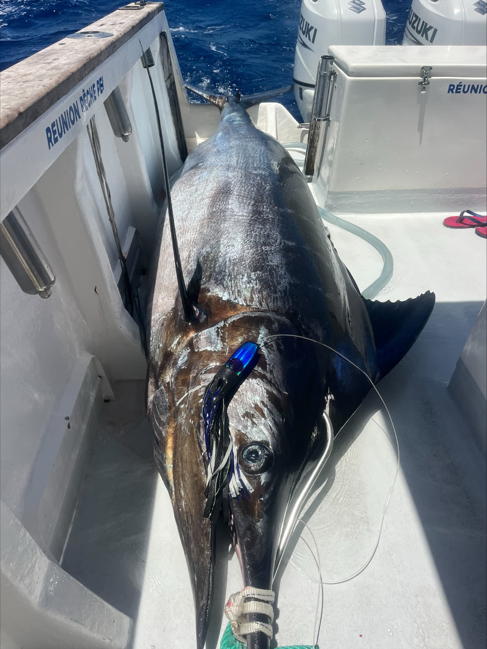 Pont du Calypso, coque marquée Réunion Pêche Pei et ses deux moteurs