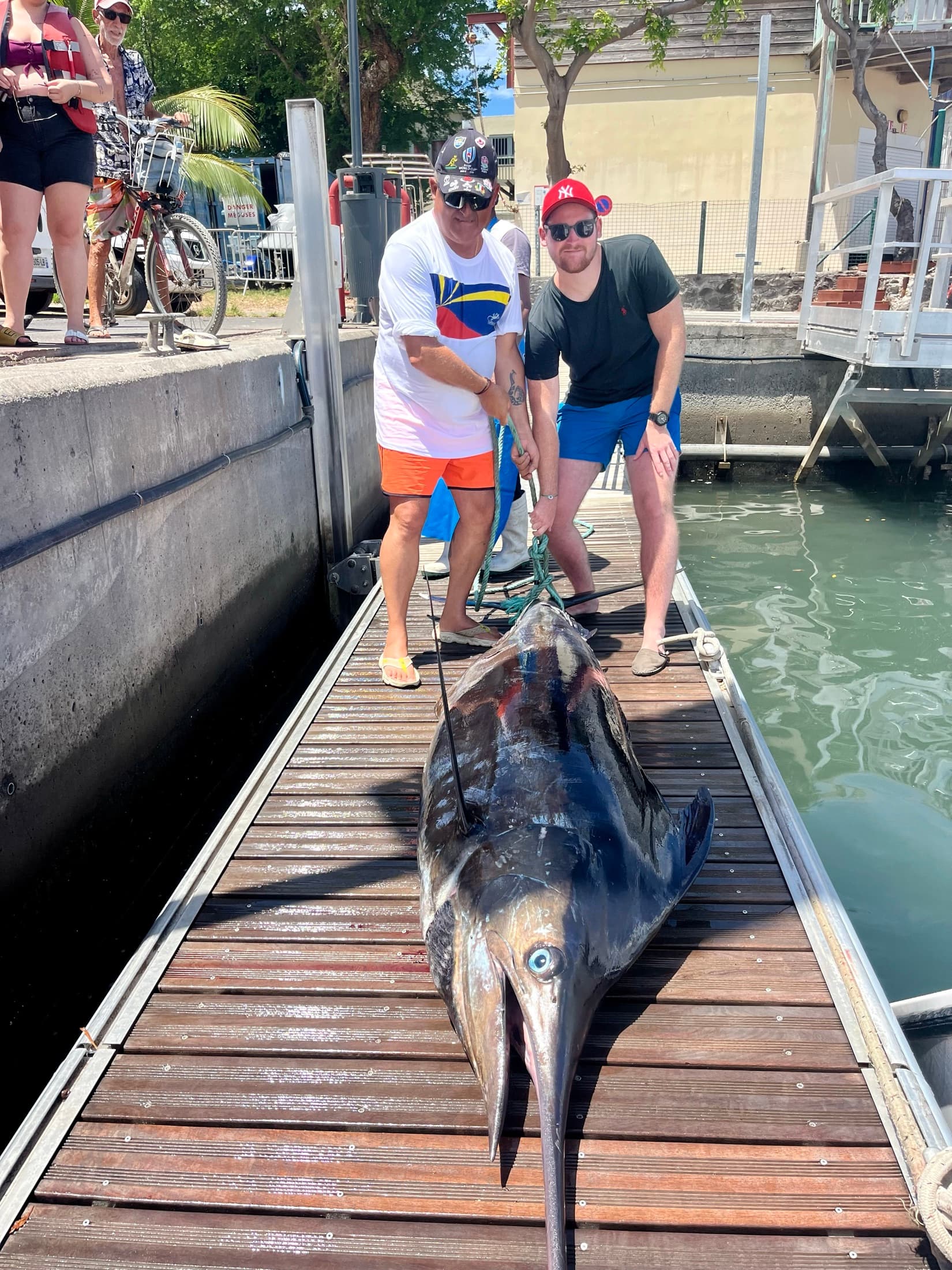 Marlin sur le quai du port de Saint-Gilles-les-Bains